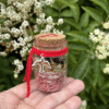 Love Spell Jar with red thread, Thurisaz rune, and bird charm – Mistwillow