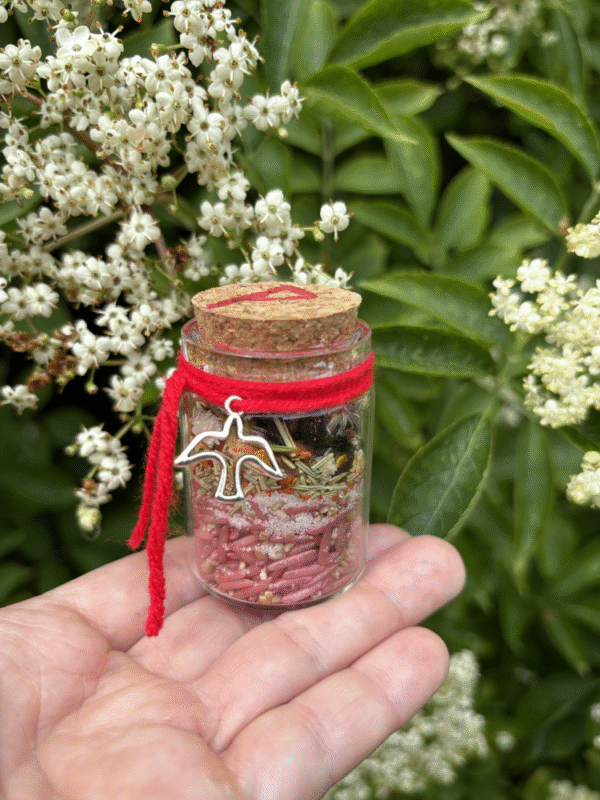 Love Spell Jar with red thread, Thurisaz rune, and bird charm – Mistwillow