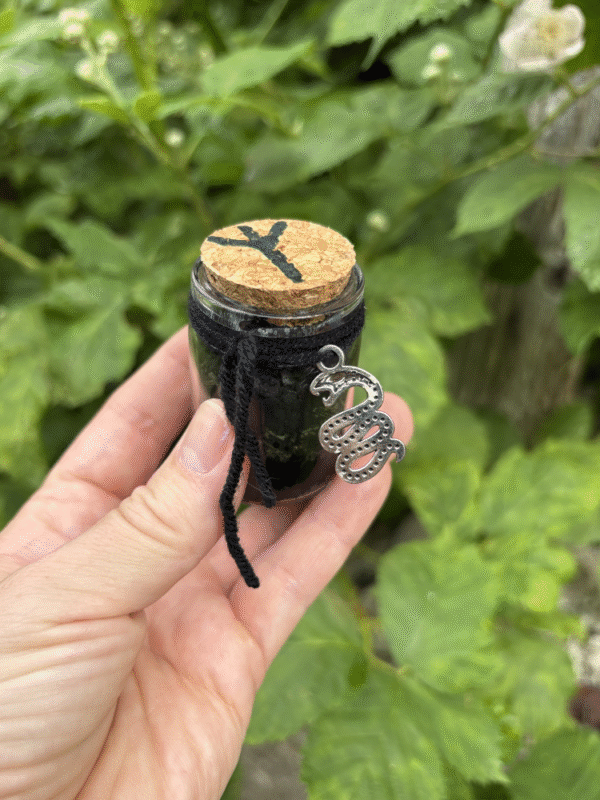 Protection Spell Jar with black thread, Tiwaz rune and serpent charm – Mistwillow