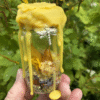Joy Spell Jar with yellow top, sunflower herbs, and happiness magic – Mistwillow