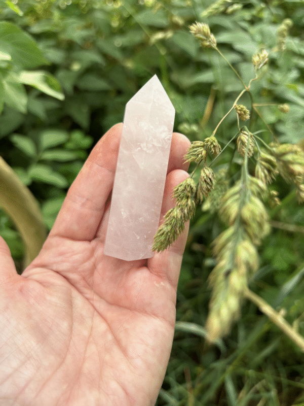 A hand holds a polished Rose Quartz tower in soft pink tones, surrounded by lush green grass and delicate flowering stalks, symbolizing love, peace and nature's embrace.