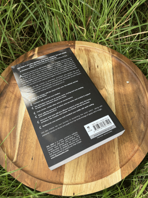 The back of the book "Witch" displaying text about its content and ISBN, lying on a wooden tray in the grass.