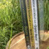 Angled view of the three books from the Modern Witchcraft Boxed Set, sealed in plastic