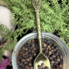 Soft gold ritual spoon with oval symbol – mystical spoon for herbs, teas, and altar use