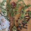 Gold ritual spoon with red crystal – witchcraft spoon for herbs, teas, and altar rituals
