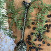 Soft gold ritual spoon with clear crystal – mystical spoon for herbs, teas, and altar rituals