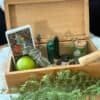 Open wooden box filled with tarot cards, crystals, herbs, and runes.