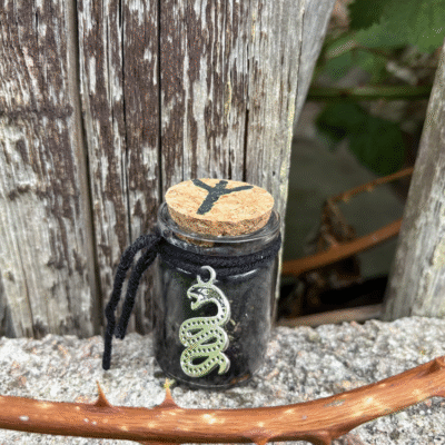 Protection Spell Jar with black thread, Tiwaz rune and serpent charm – Mistwillow