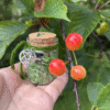 Money Spell Jar