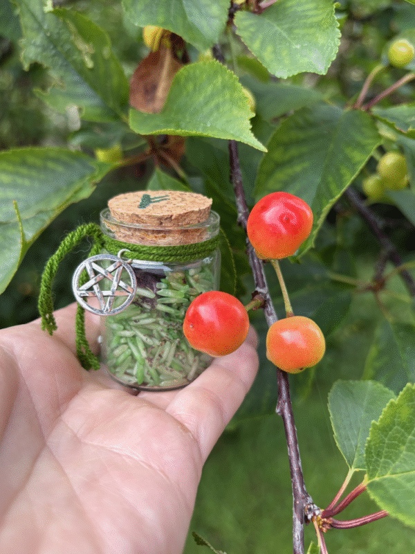 Money Spell Jar