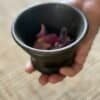 Hand holding a small antique cast iron cauldron, showcasing its size and aged texture.