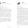 Crystal pages from Crystal Magick book featuring properties of Emerald and Fluorite
