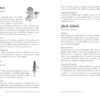 Magickal properties and history of Bergamot and Betony from the herbal guide