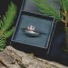 Diser silver ring displayed in a dark green jewelry box with pine branches around it.