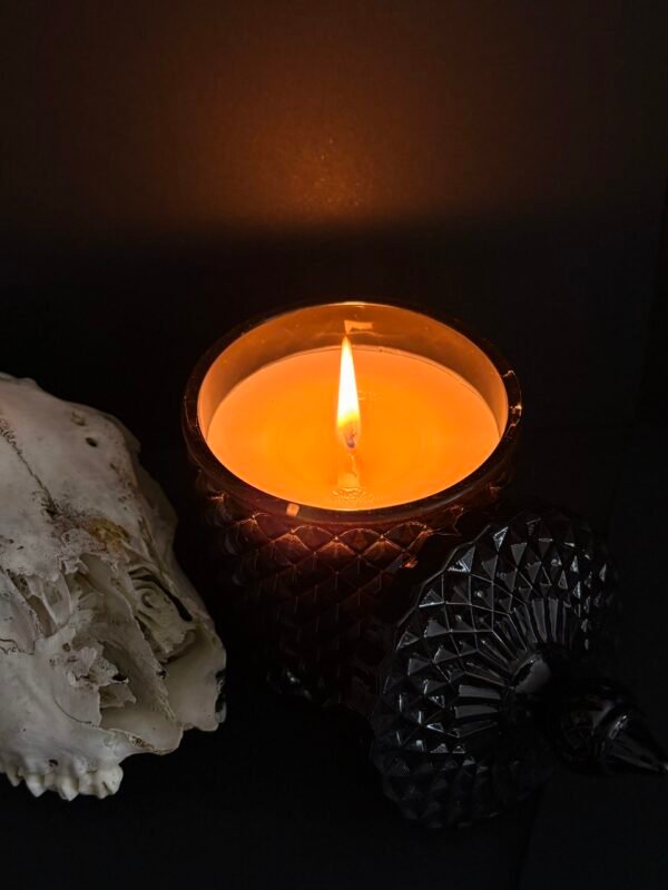 Grimoire Ritual Candle – Burning Black Candle